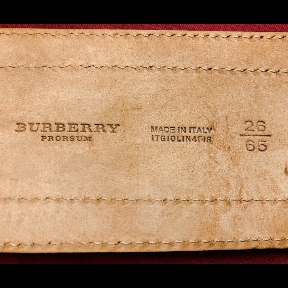 Burberry Python Belt - image 4